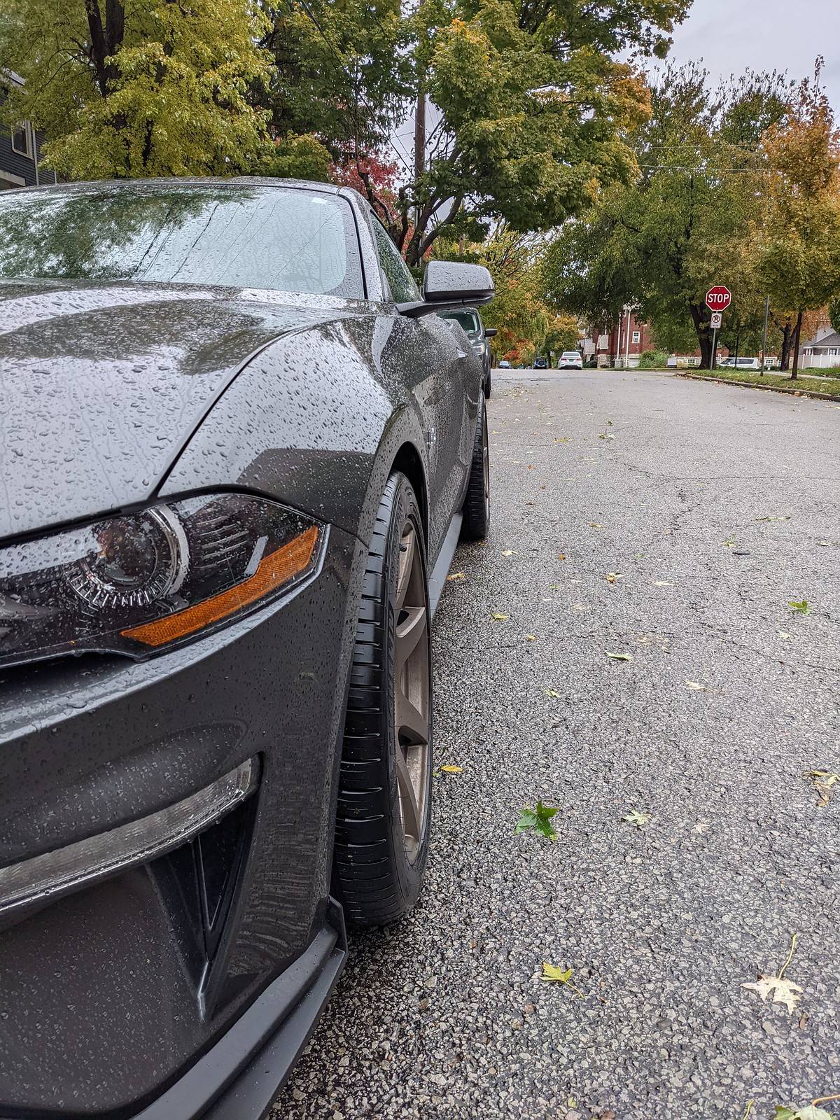 51656583050_19a8fca3ea_h.jpg