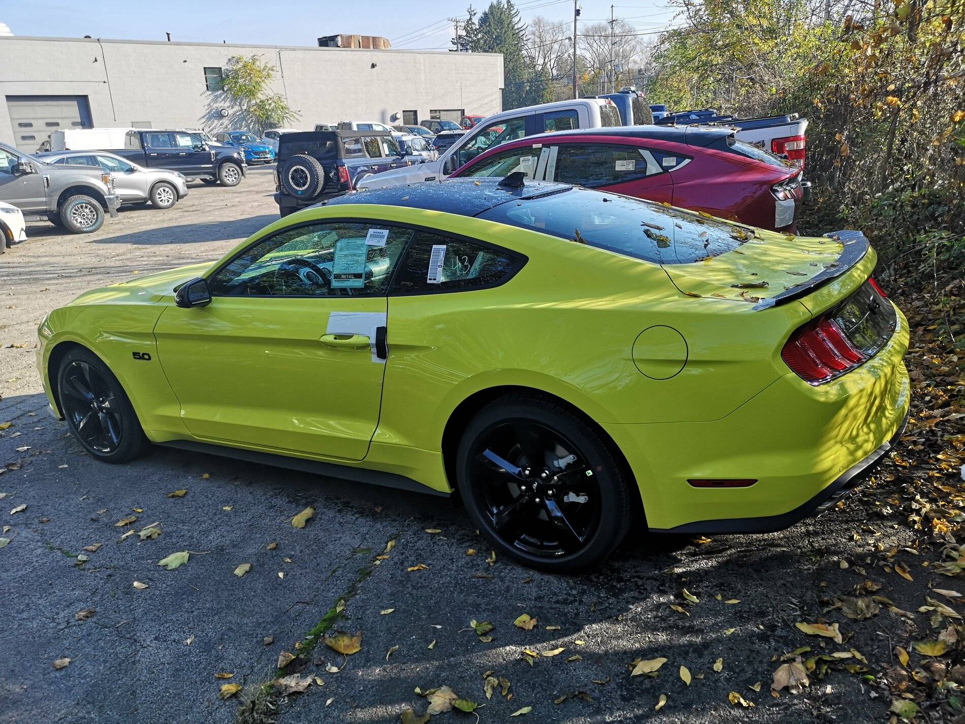 New Mustang.jpg