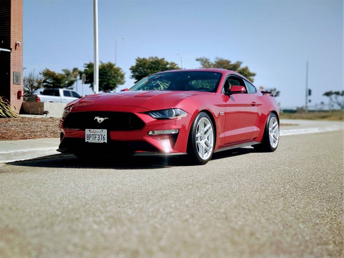 Mustang Portrait front resize.jpg