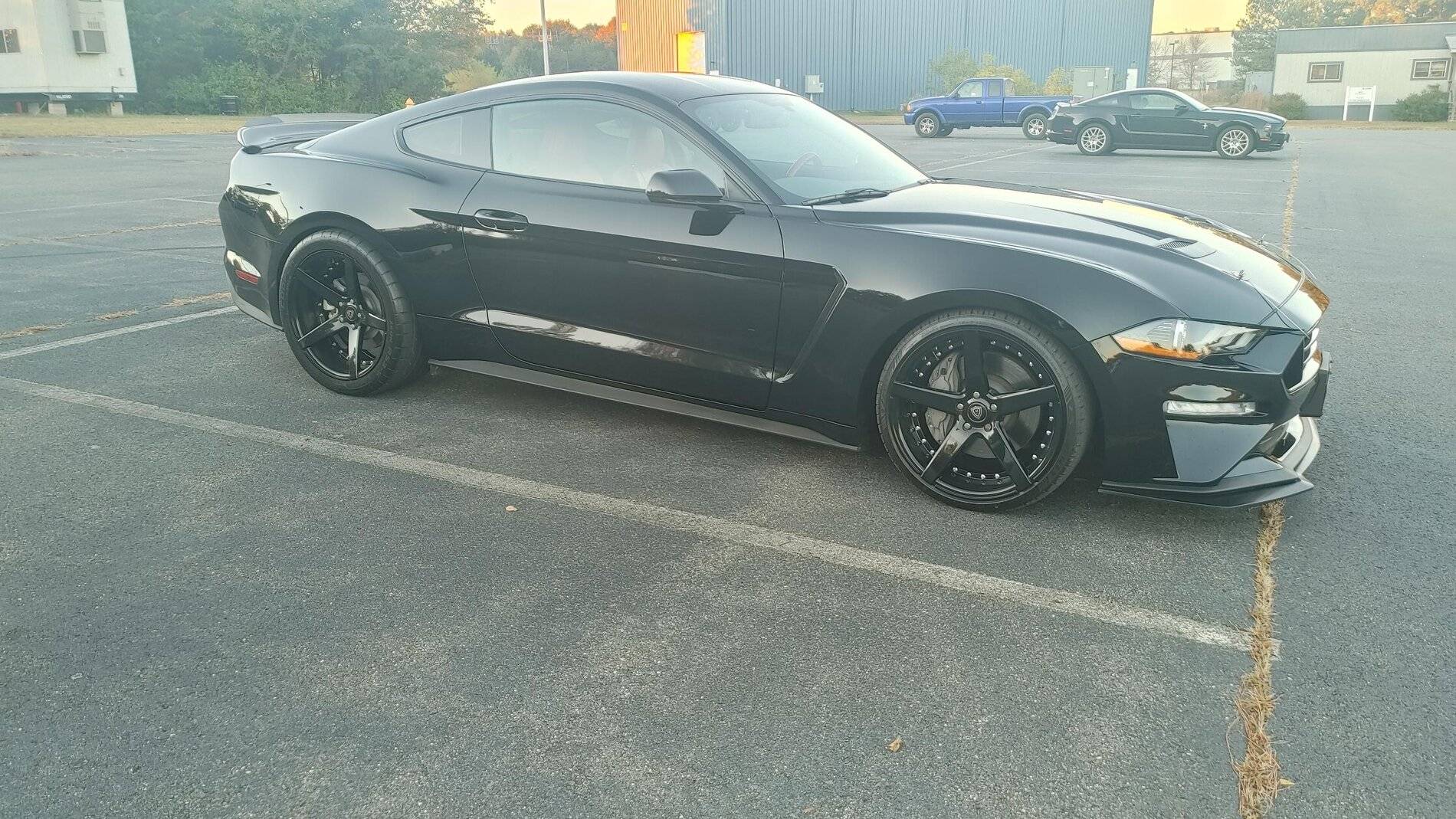 mustang1.jpg