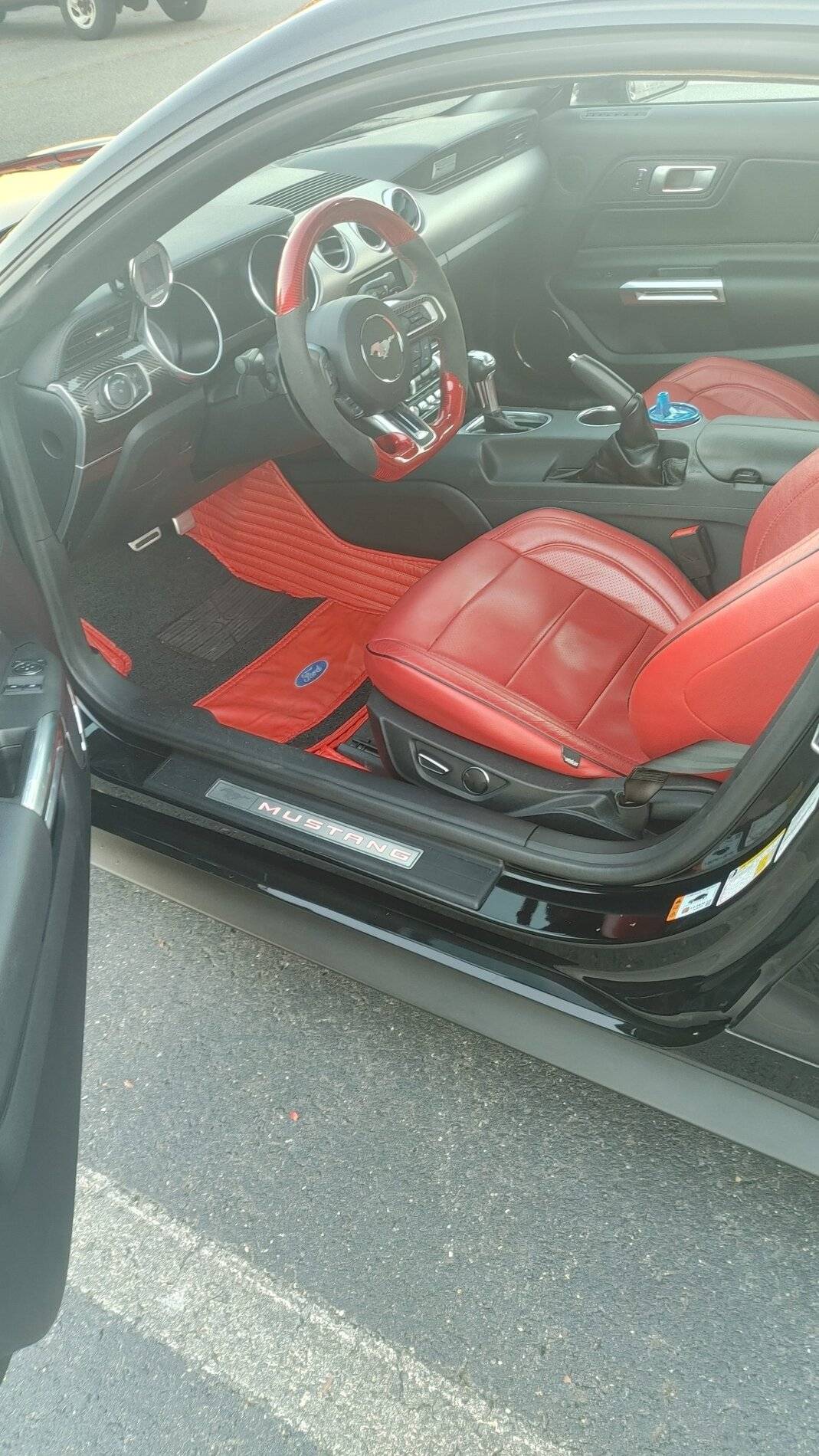 Mustang4.jpg