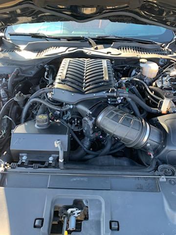 MustangMotor.jpg