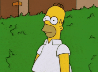 1636737295721.gif