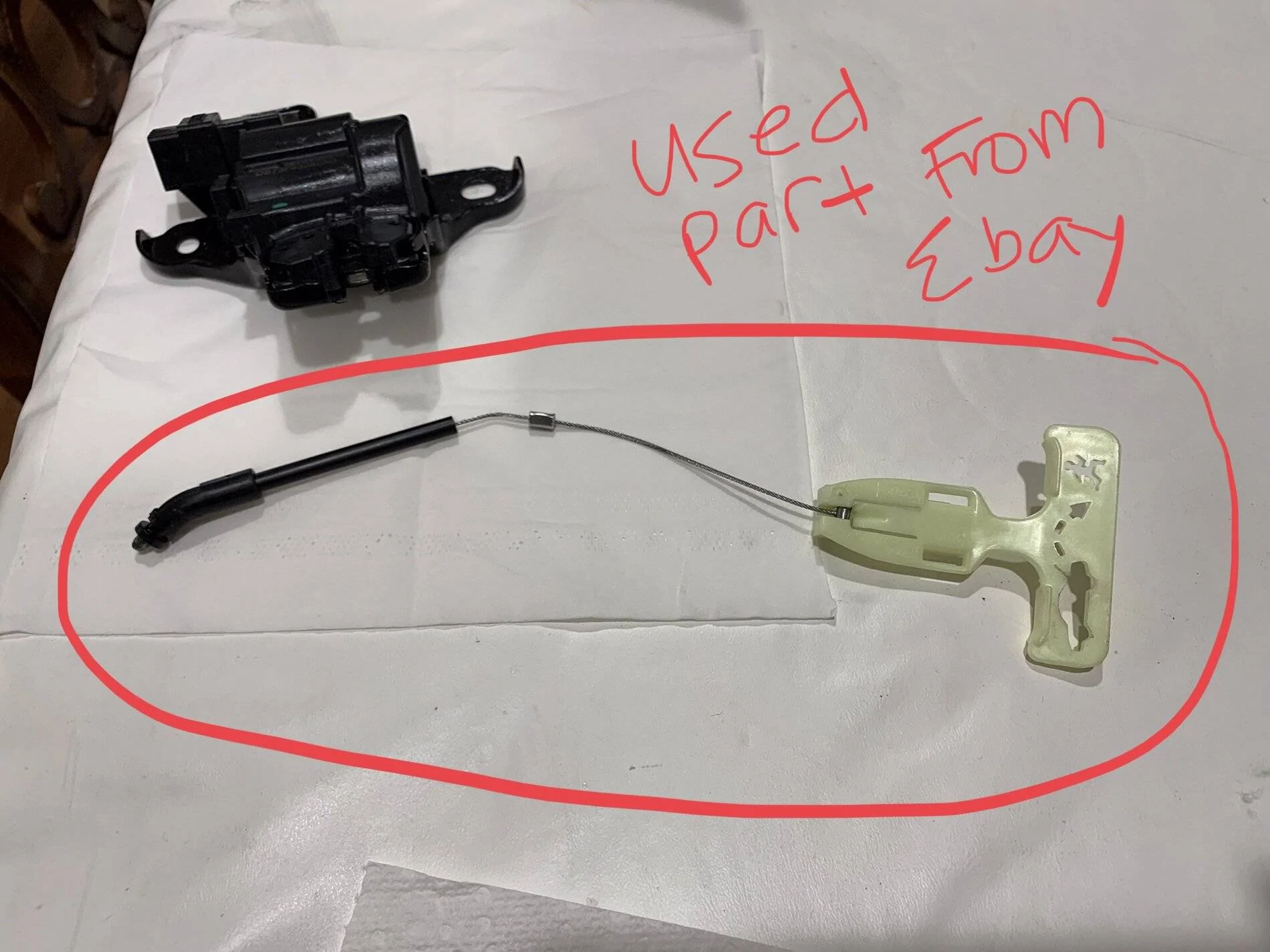 112479C3-F62A-4777-8C5E-F18FC13F2DD4.jpeg