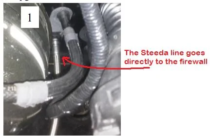SteedaClutch1.jpg