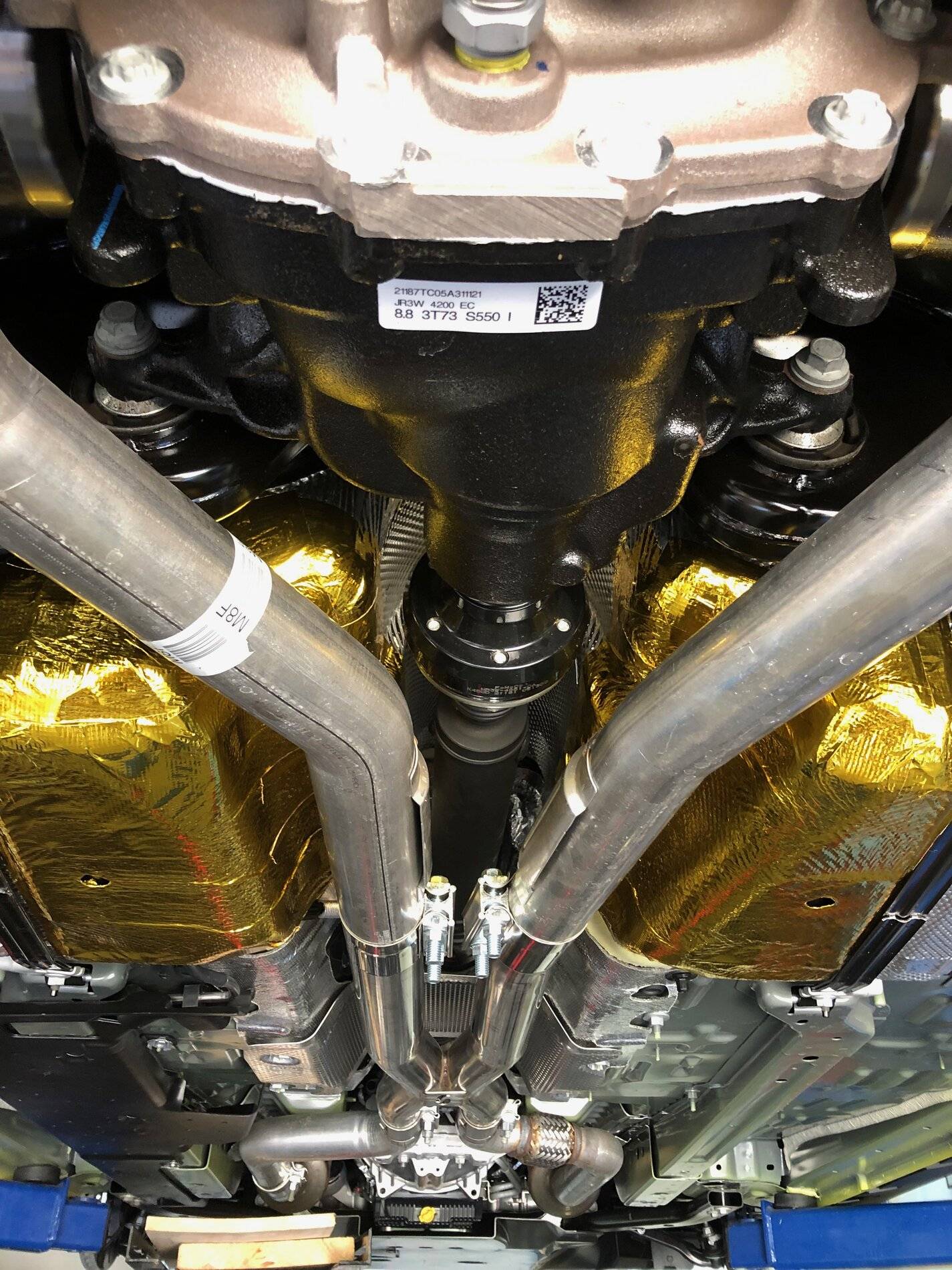 IMG_1407.jpg