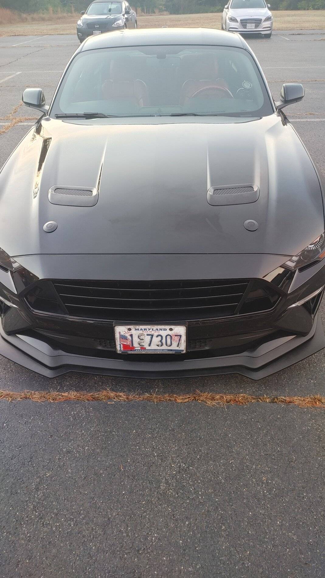 mustang hood buttons.jpg