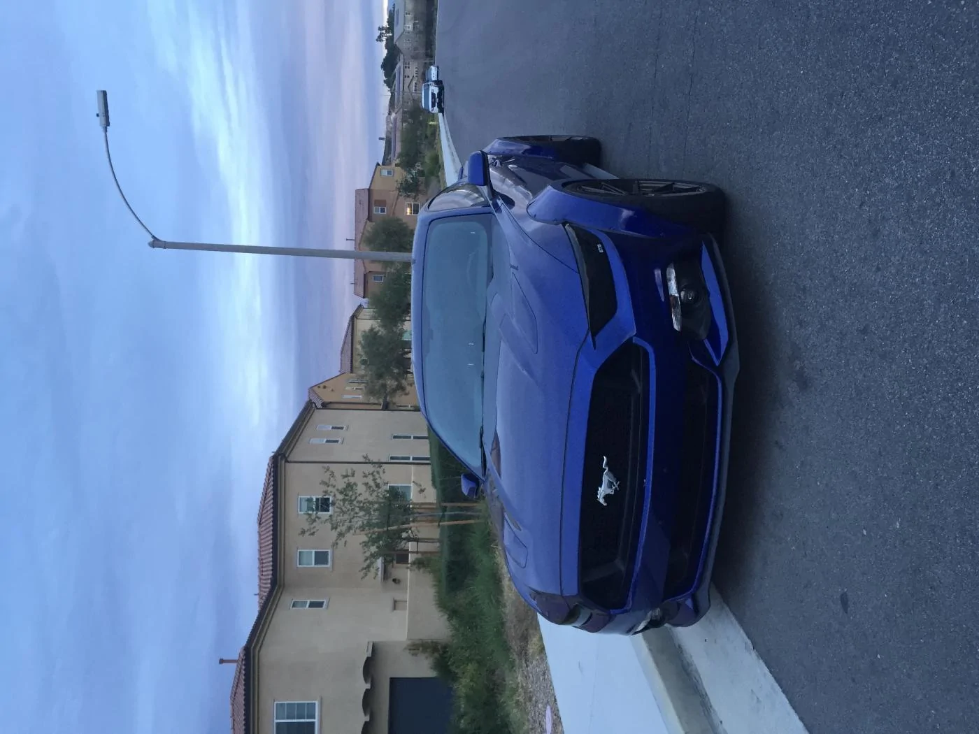 mustang 3.webp