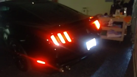 IMAG0361.webp