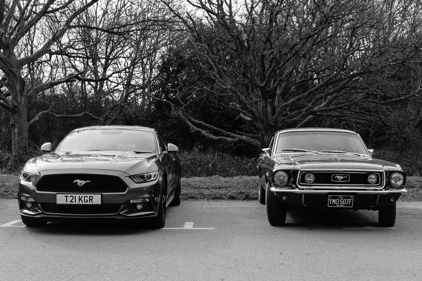 2016.02.28 Newlands Corner.jpg