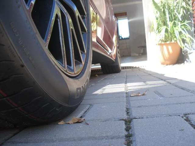 DSC03447.webp