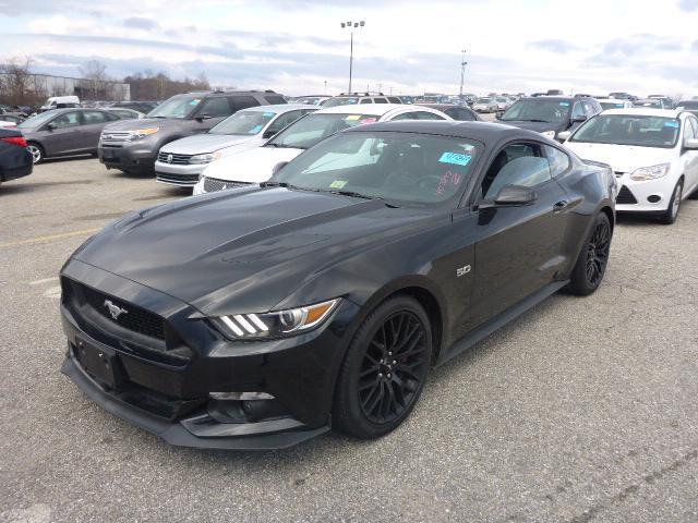 Mustang.jpg
