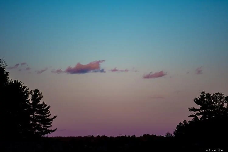 MJH-1267.webp
