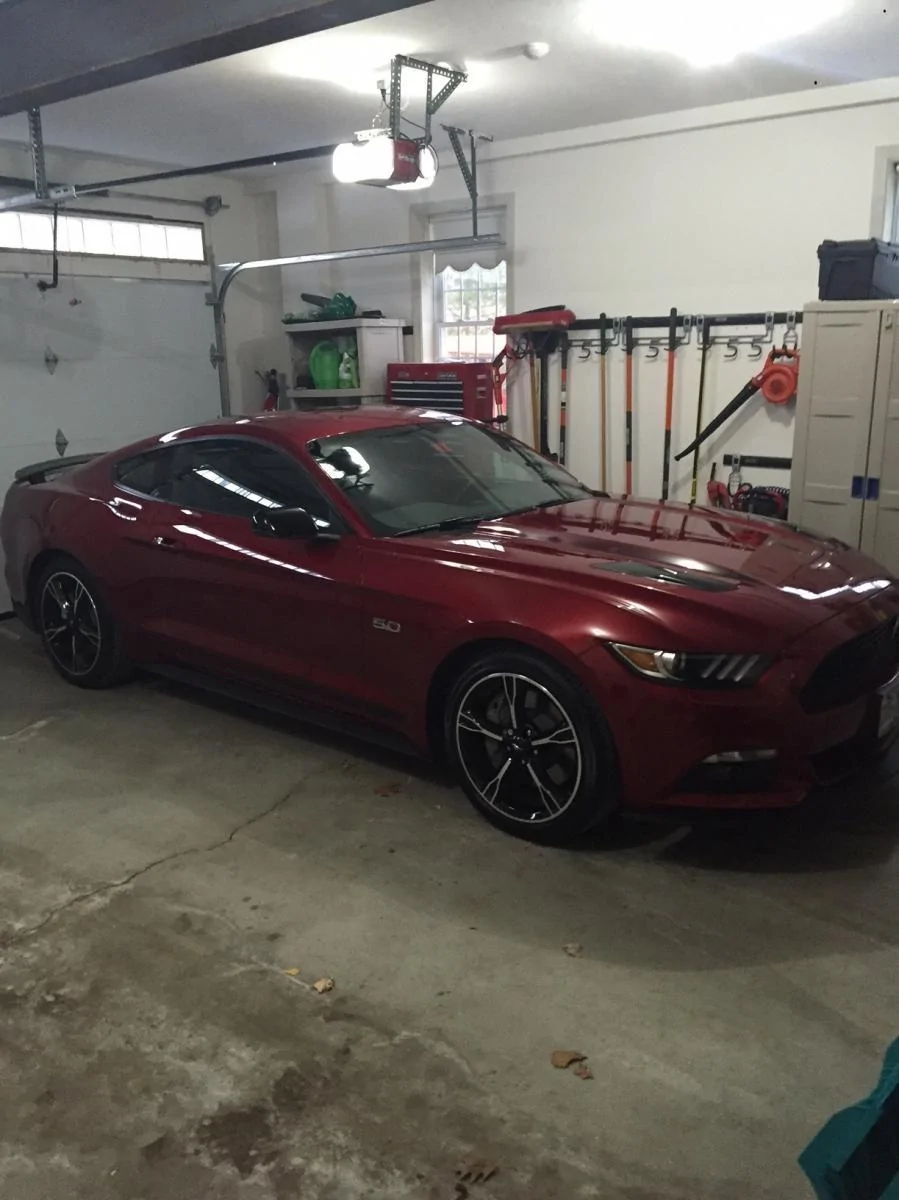 Mustang.webp