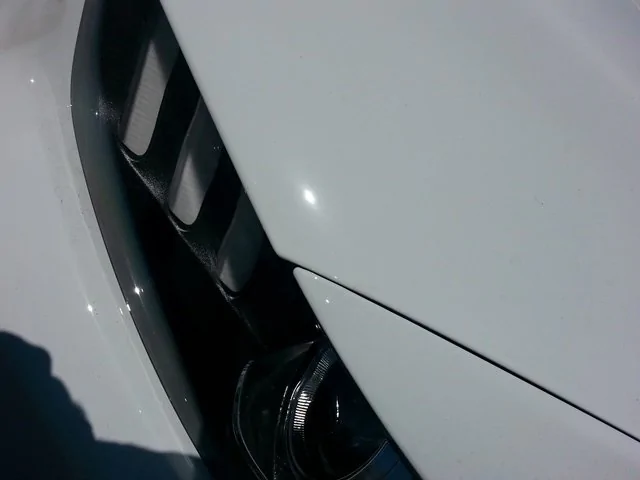 pic2.webp