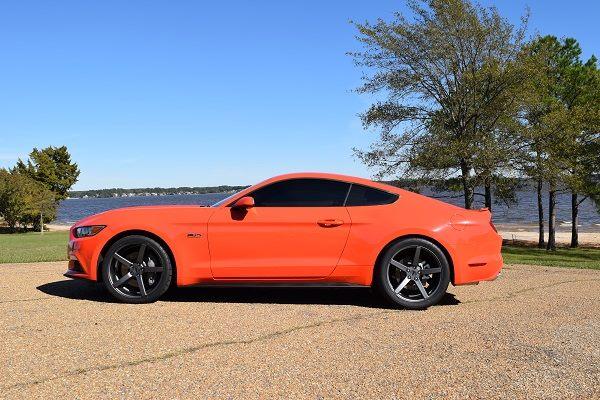mustang4.jpg