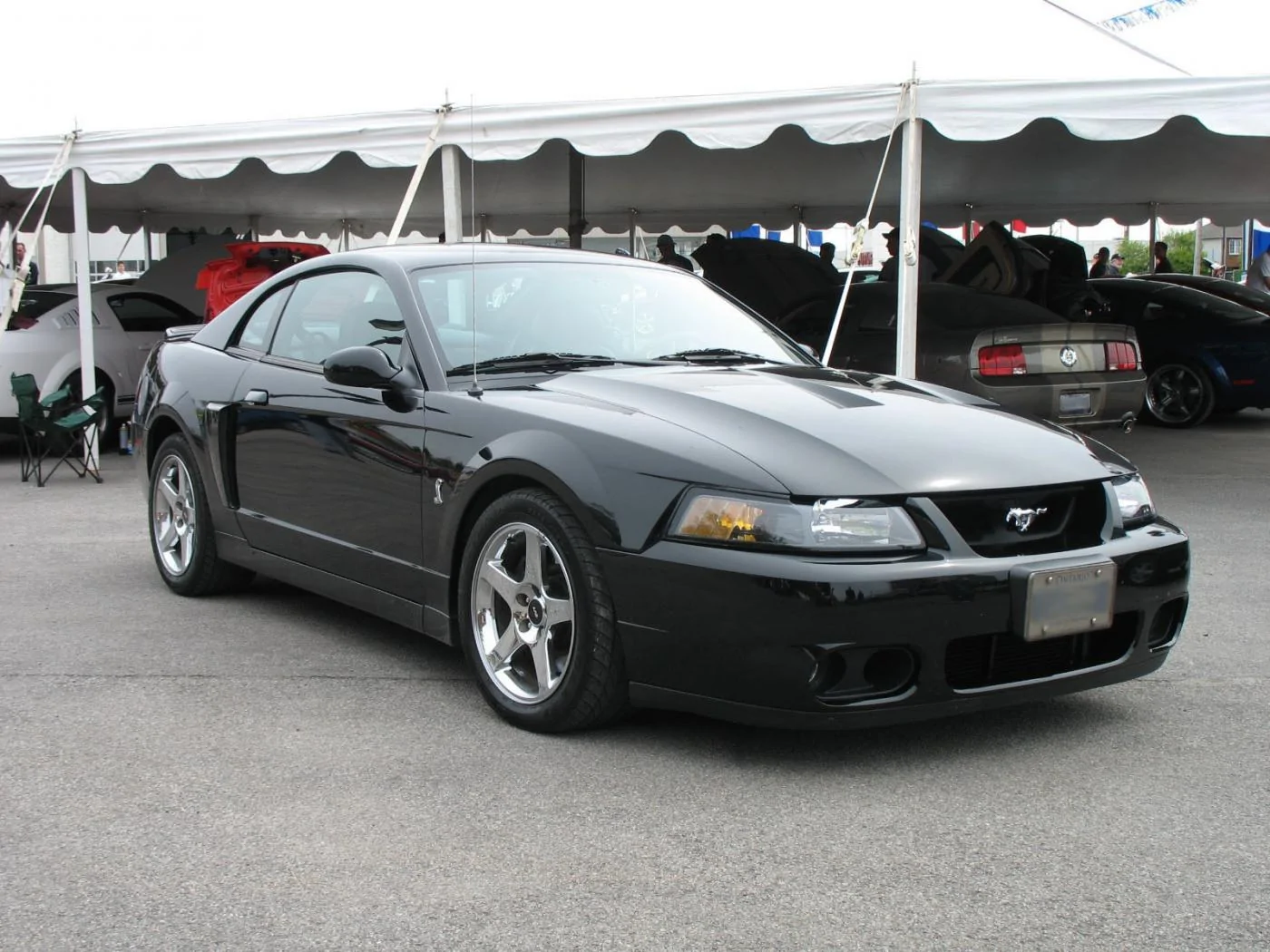 Black_2003-2004_Ford_Mustang_IV_SVT_Cobra.webp