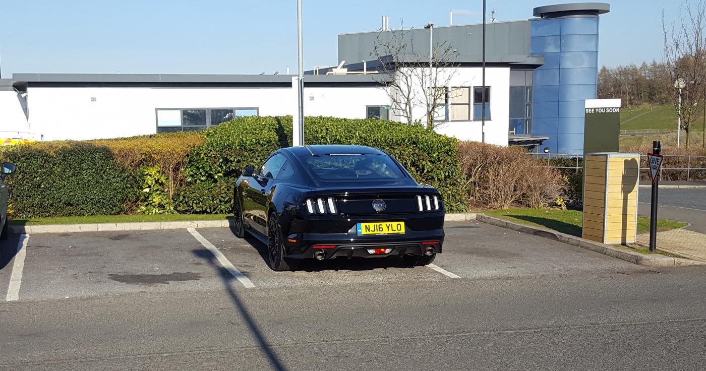 20160331_171138.jpg