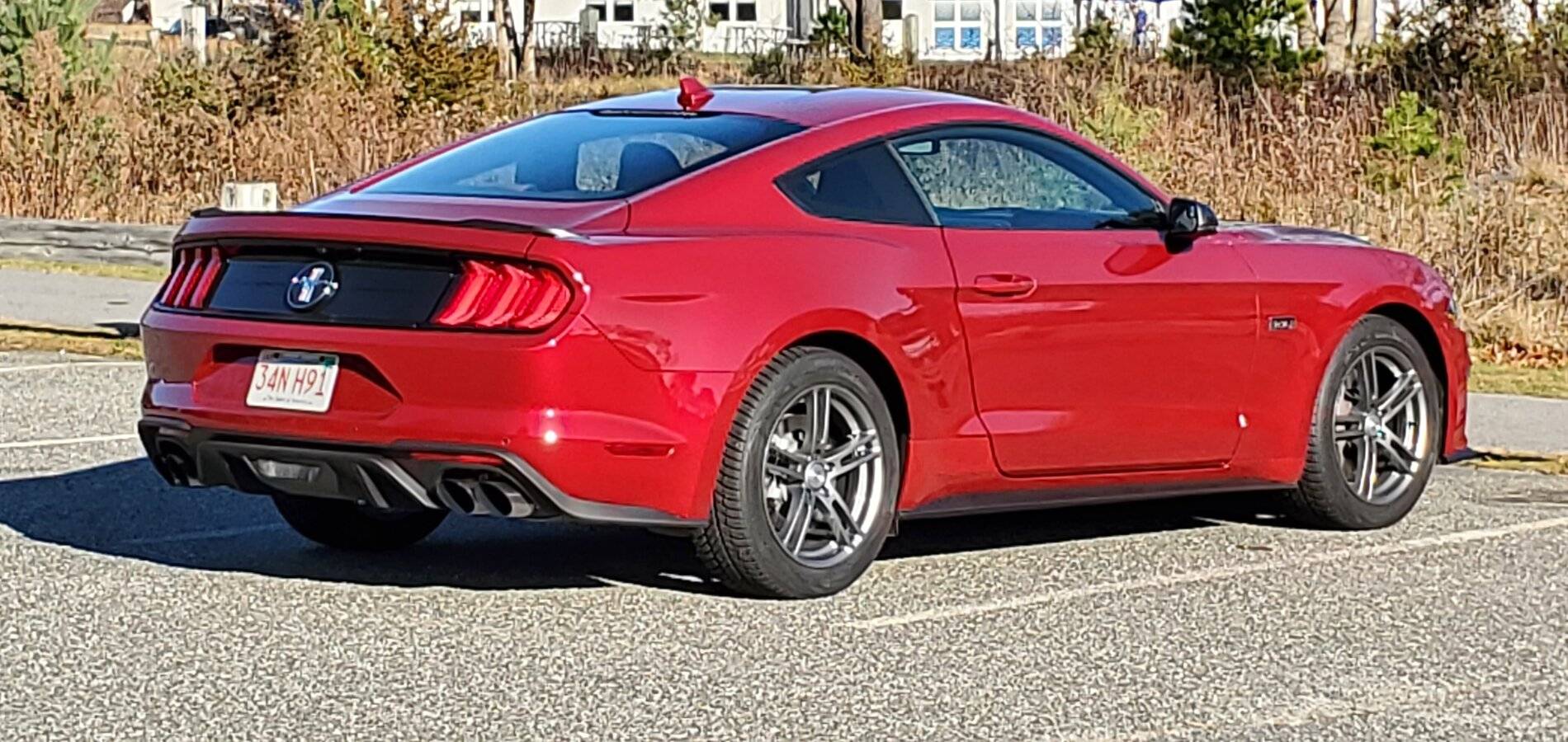 20201129_093911.jpg