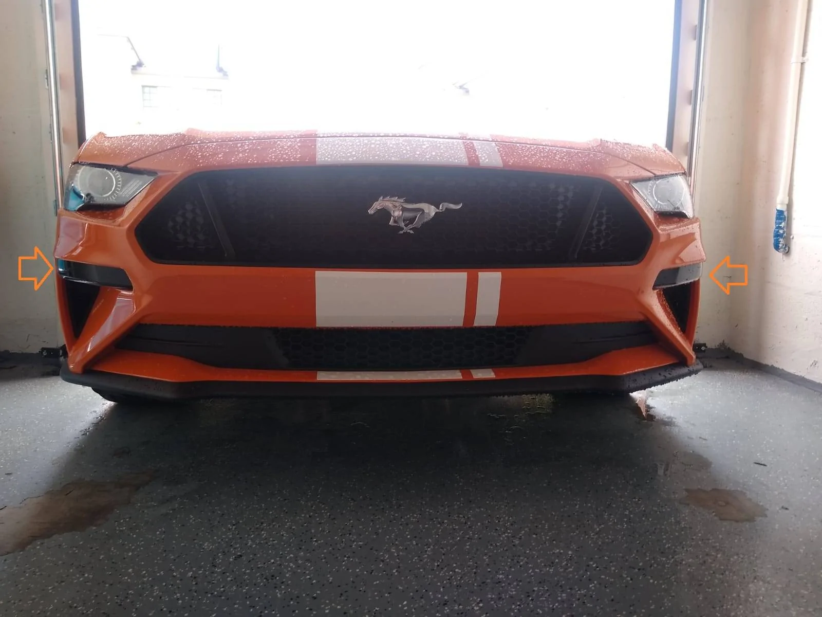 IMG-20211121-WA0000.webp