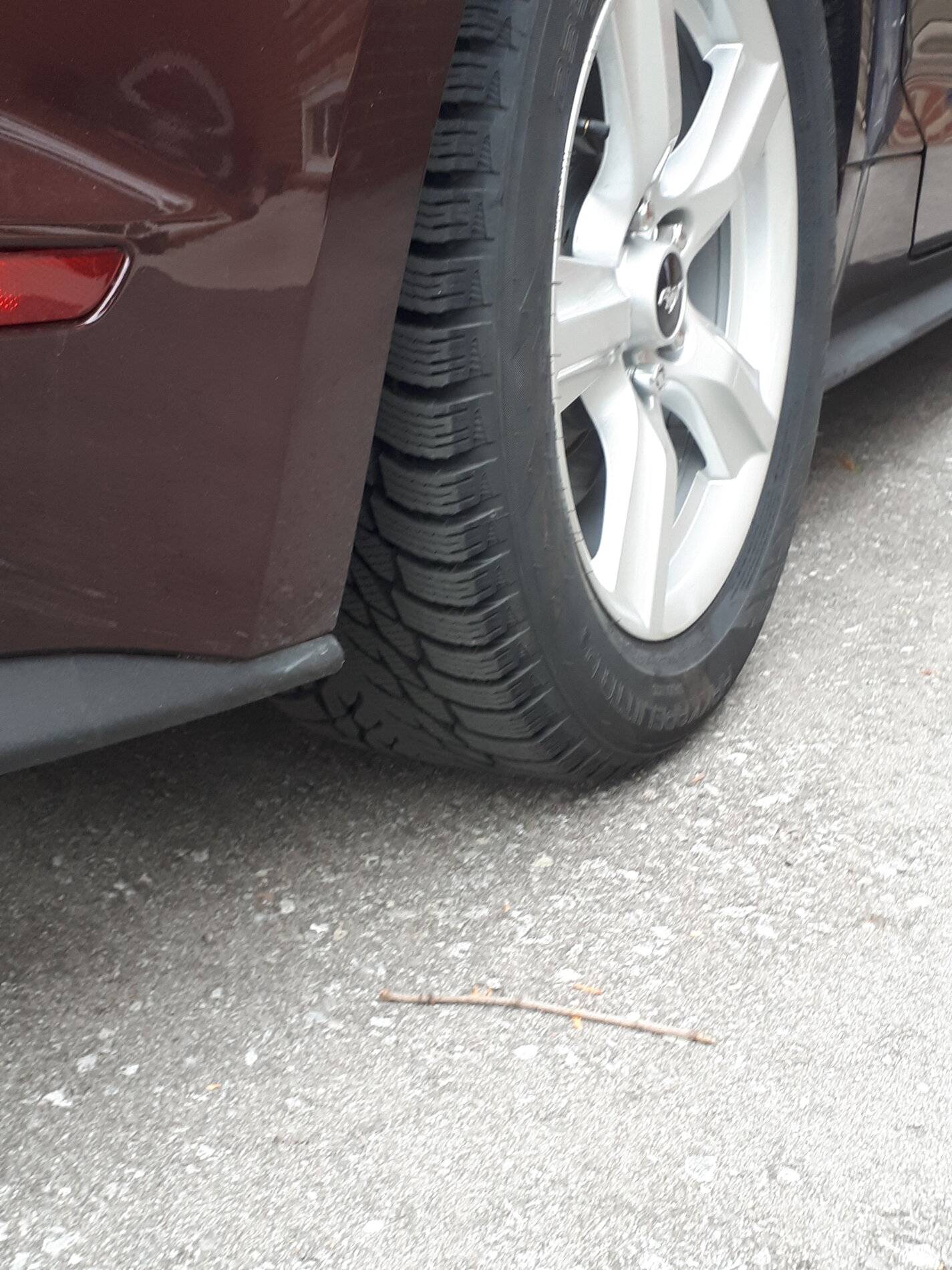 20181022_135819.jpg