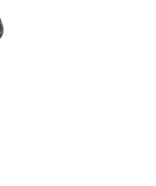 4C776CDC-EF76-4FED-B72F-BCC81583F250.gif