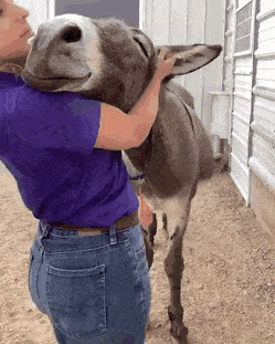 6930FB70-B4FD-4623-92A7-9517CA6C0C03.gif