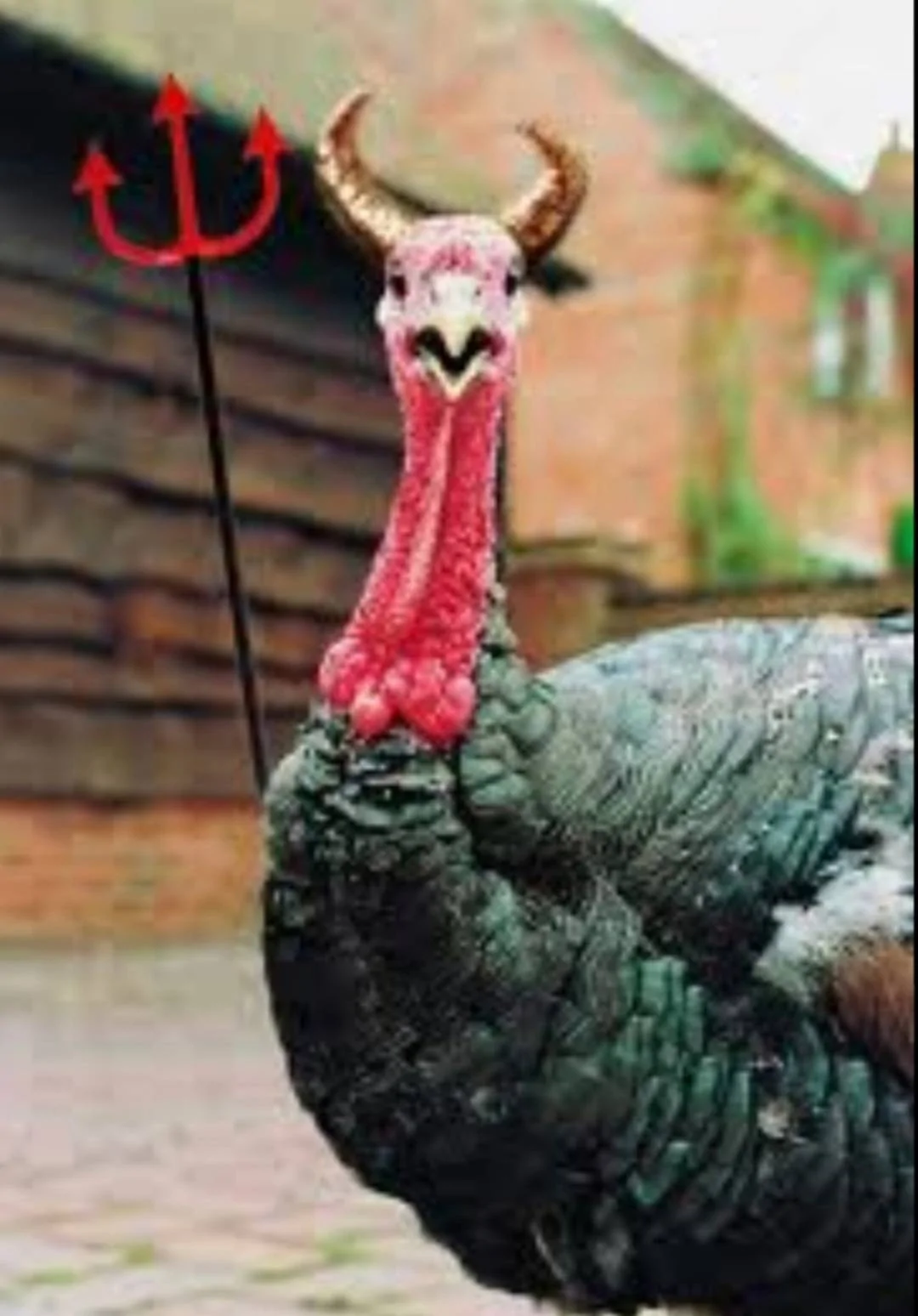 Screenshot_20211125-103307_Gallery.webp