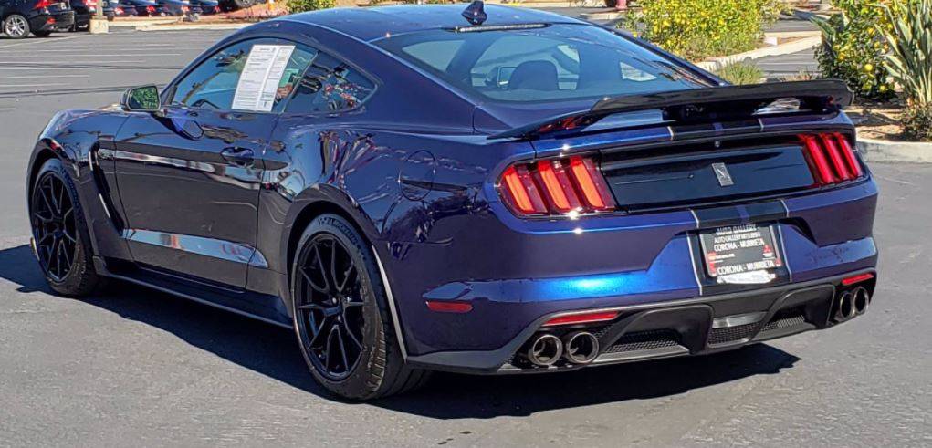 shelby2.JPG