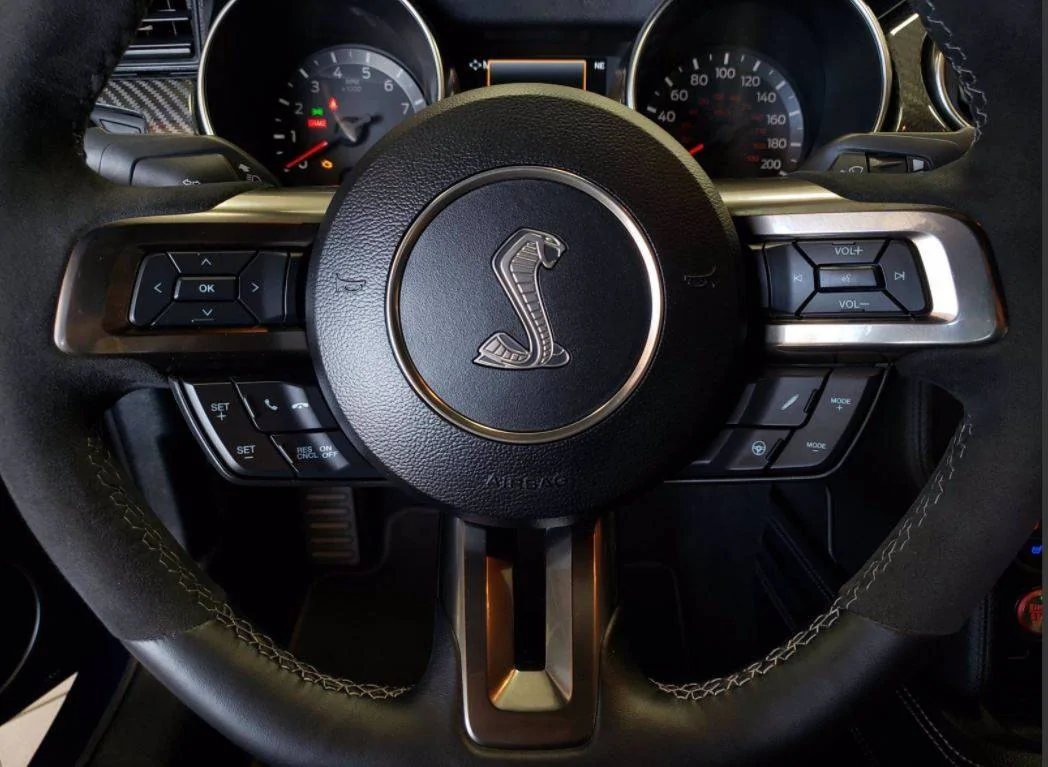 shelby6.webp