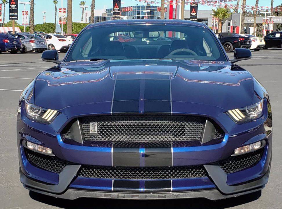 shelby8.JPG