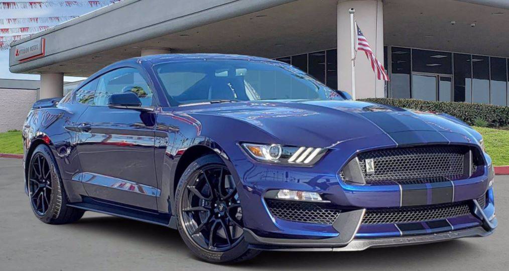 shelby11.JPG