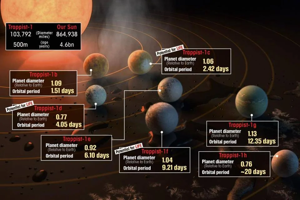 TRAPPIST planet system diagram.webp