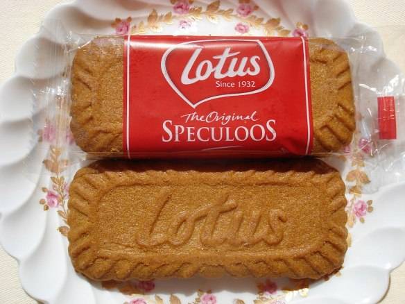 Speculoos, cookie with a telescope named for it.jpg