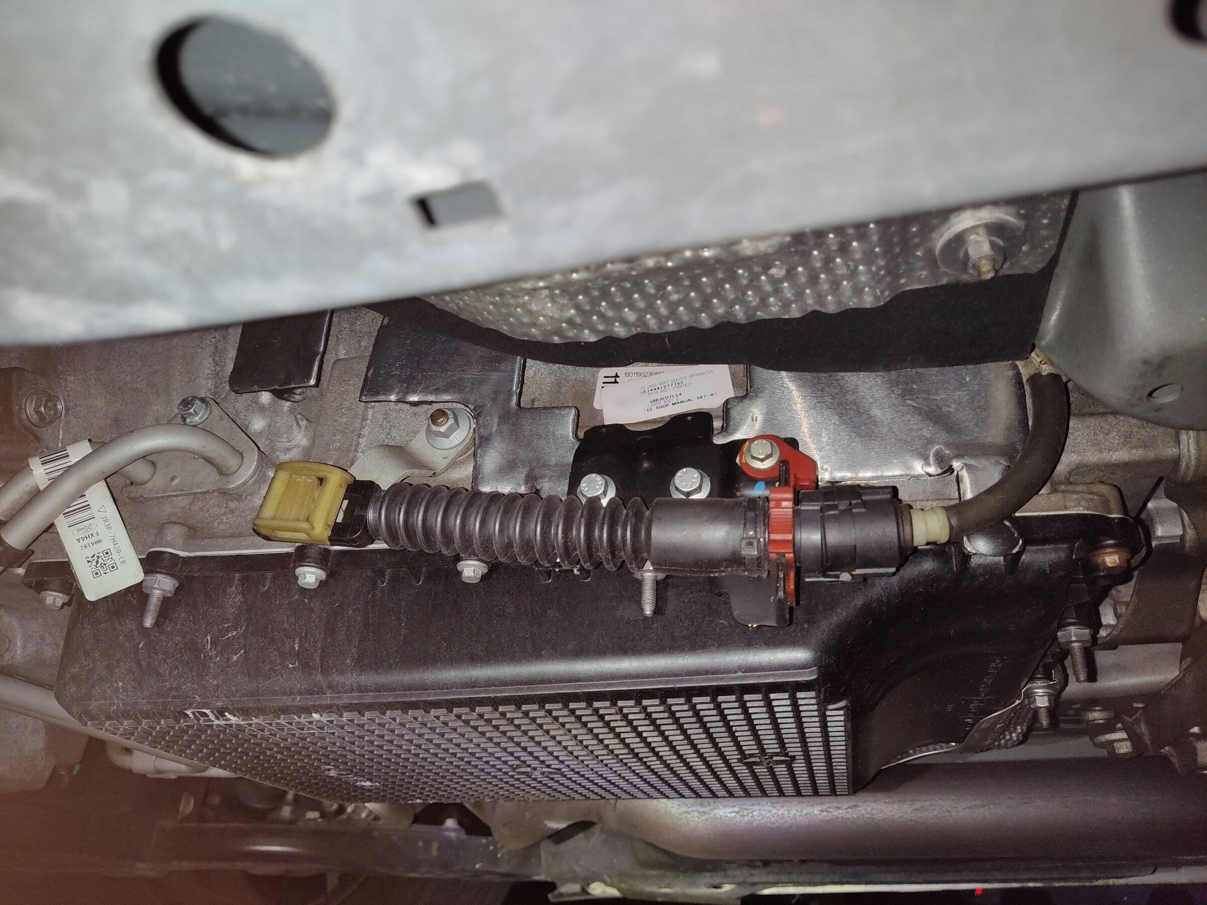car.jpg