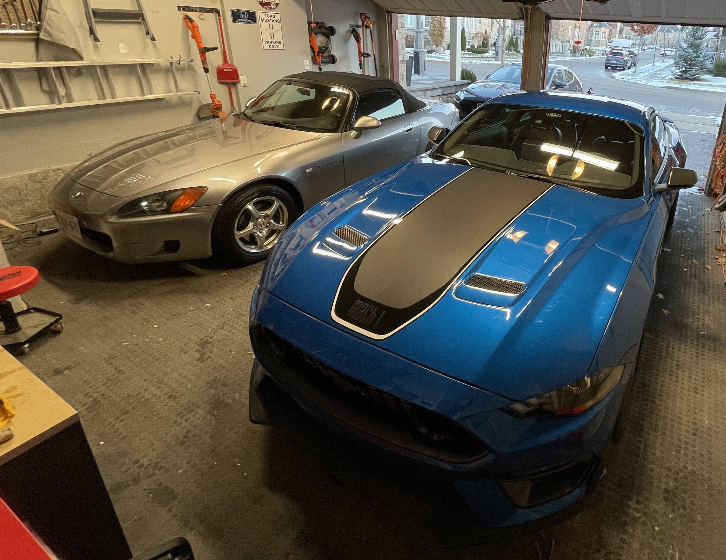 Mustang Home.jpg