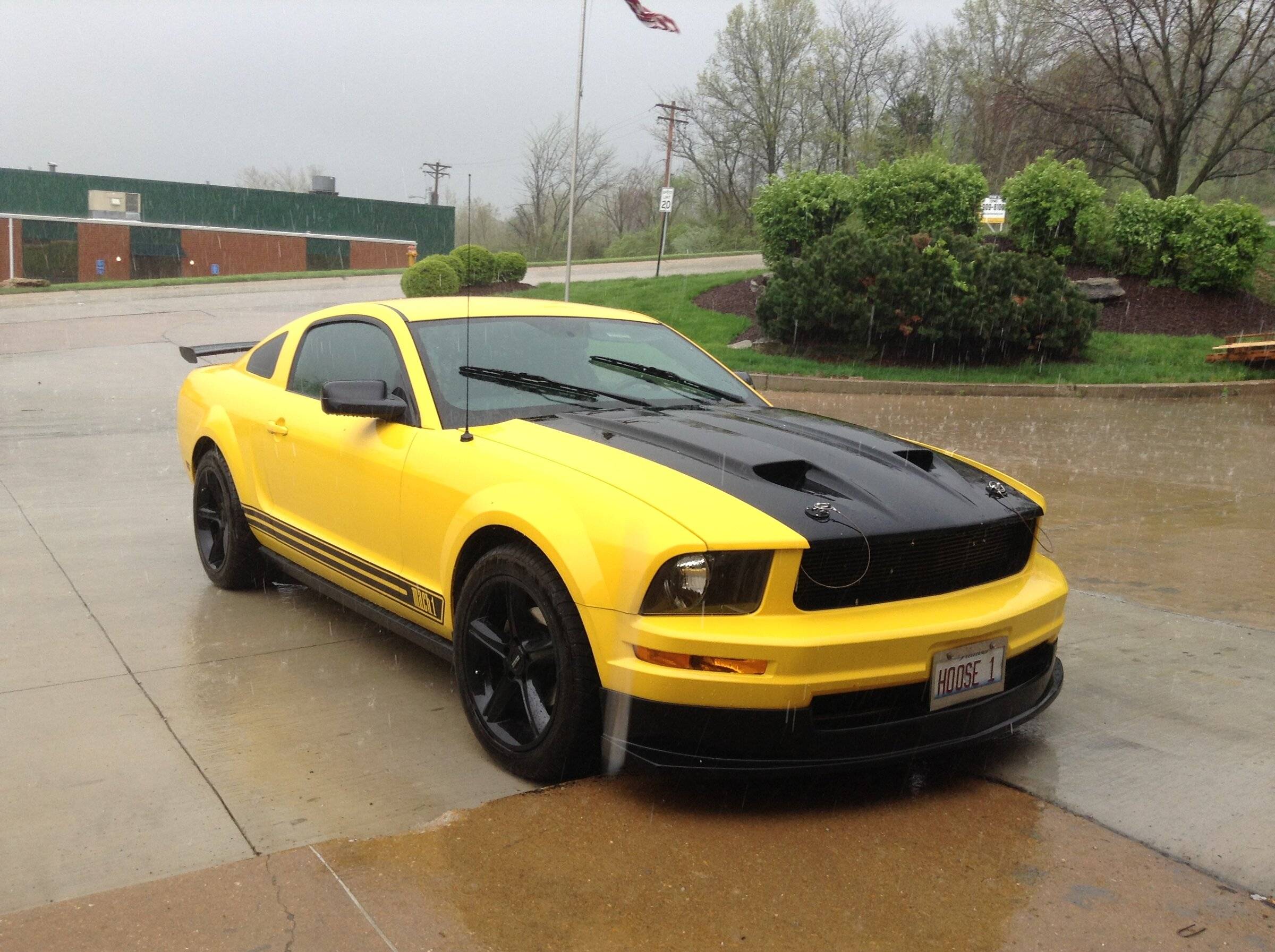 2005MustangYellow.jpg