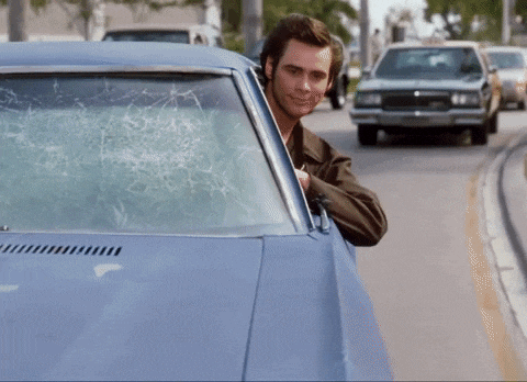 giphy (1).gif