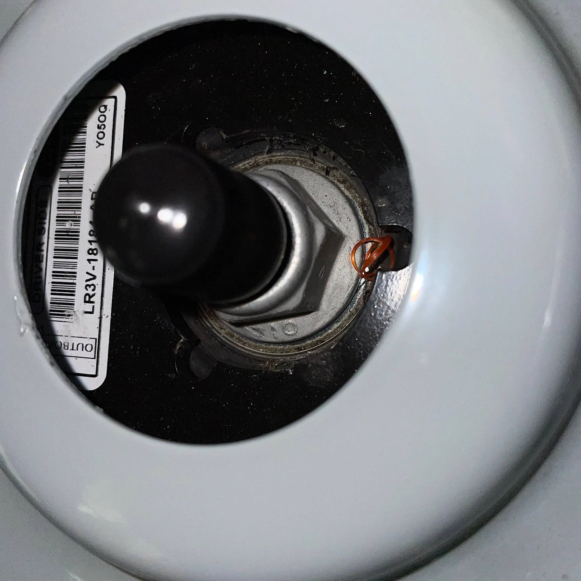 BEE3D188-C48E-481A-8B86-CDC2839C811C.webp