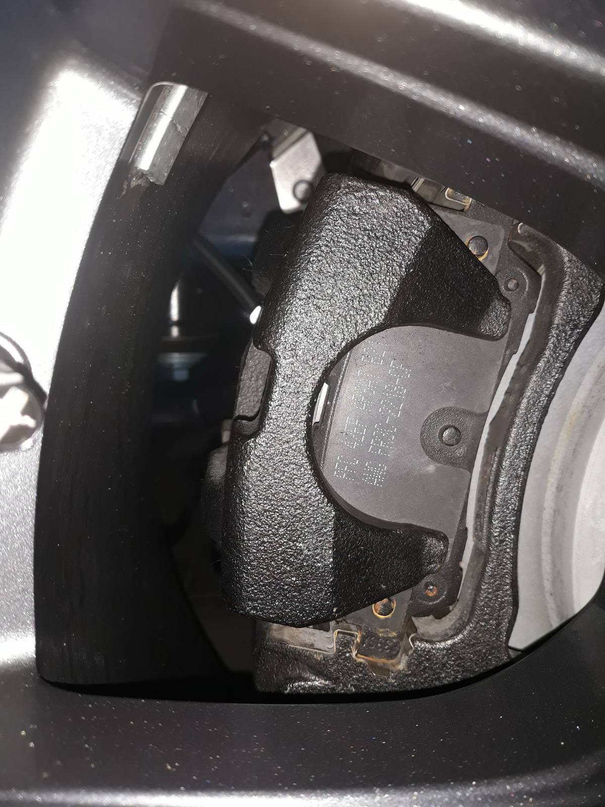 rears.jpg