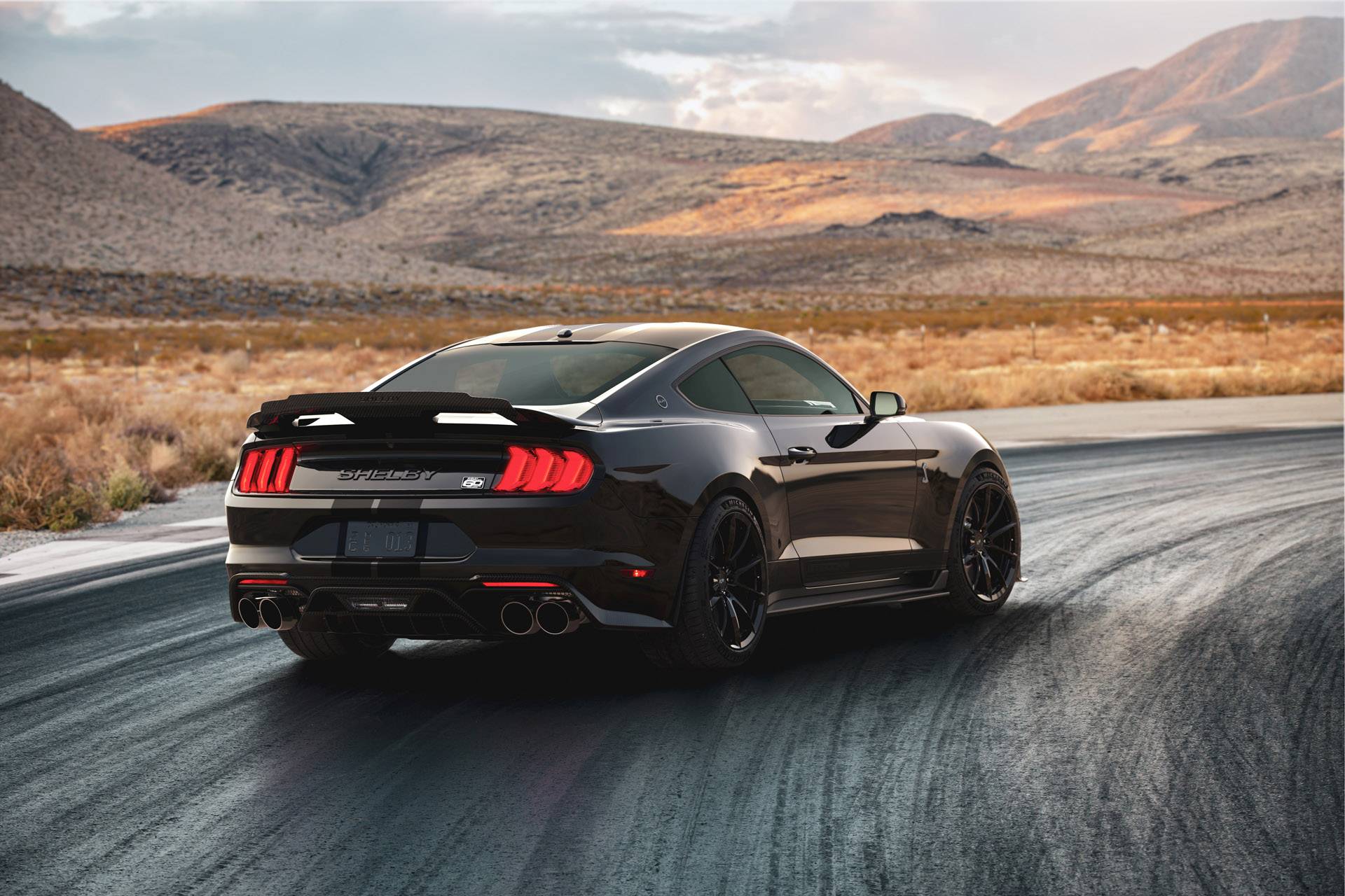 ShelbyGT500_Track_Rear.jpg