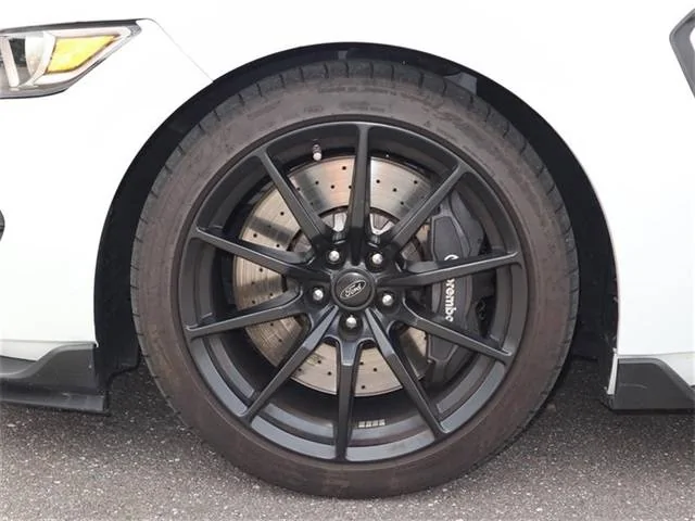 8f404192415d39ae9d2003d6e1d9d6e9.webp