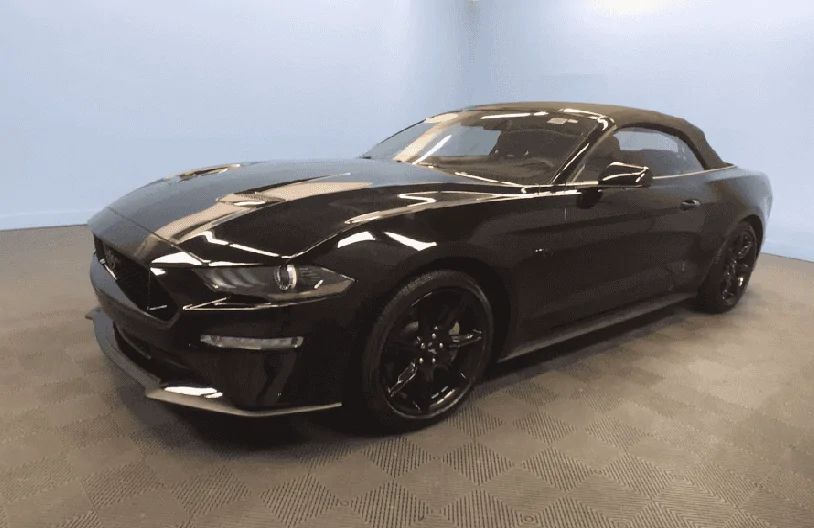 black mustang.png
