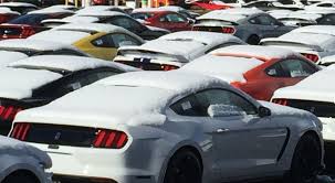 Rs in the snow.jpg