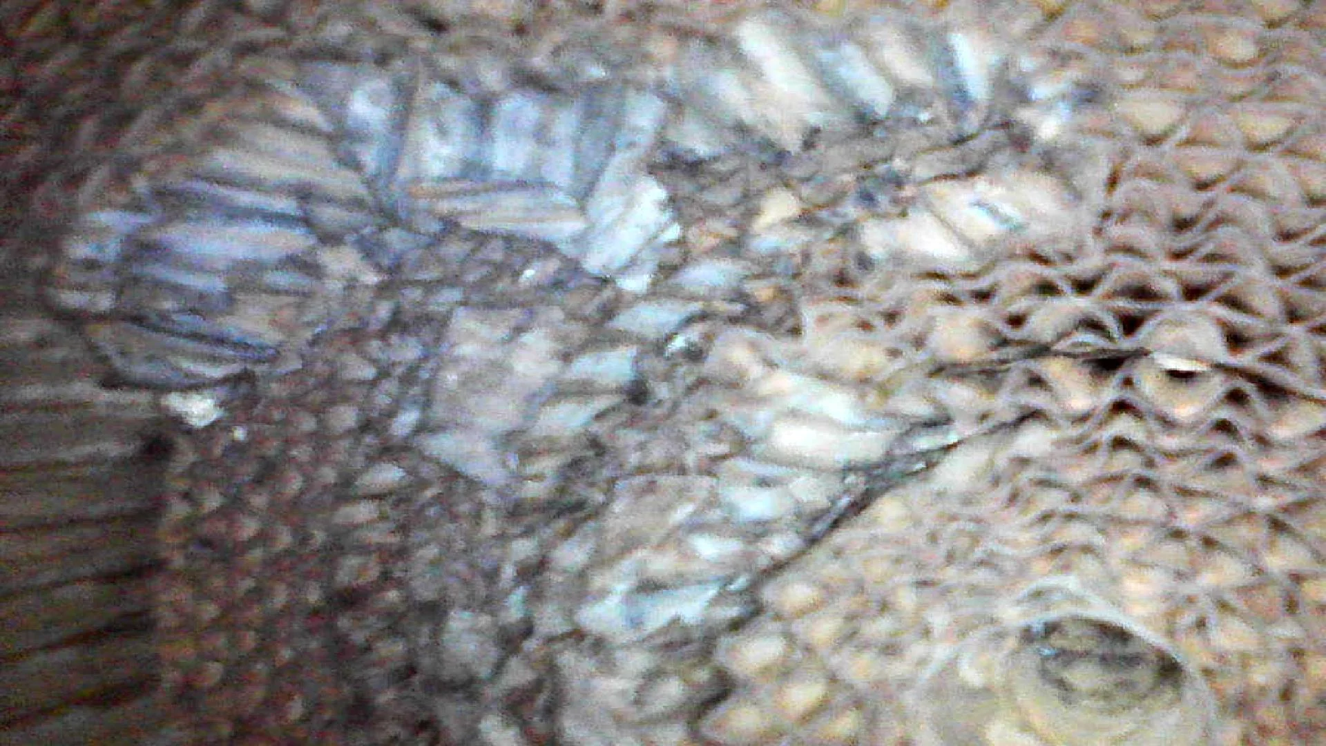 20211222201659407.webp