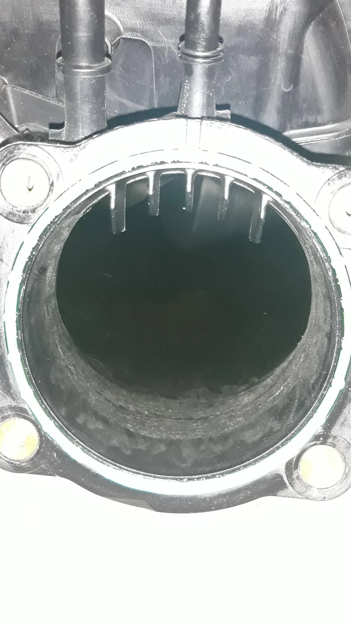 20211226_203916.jpg