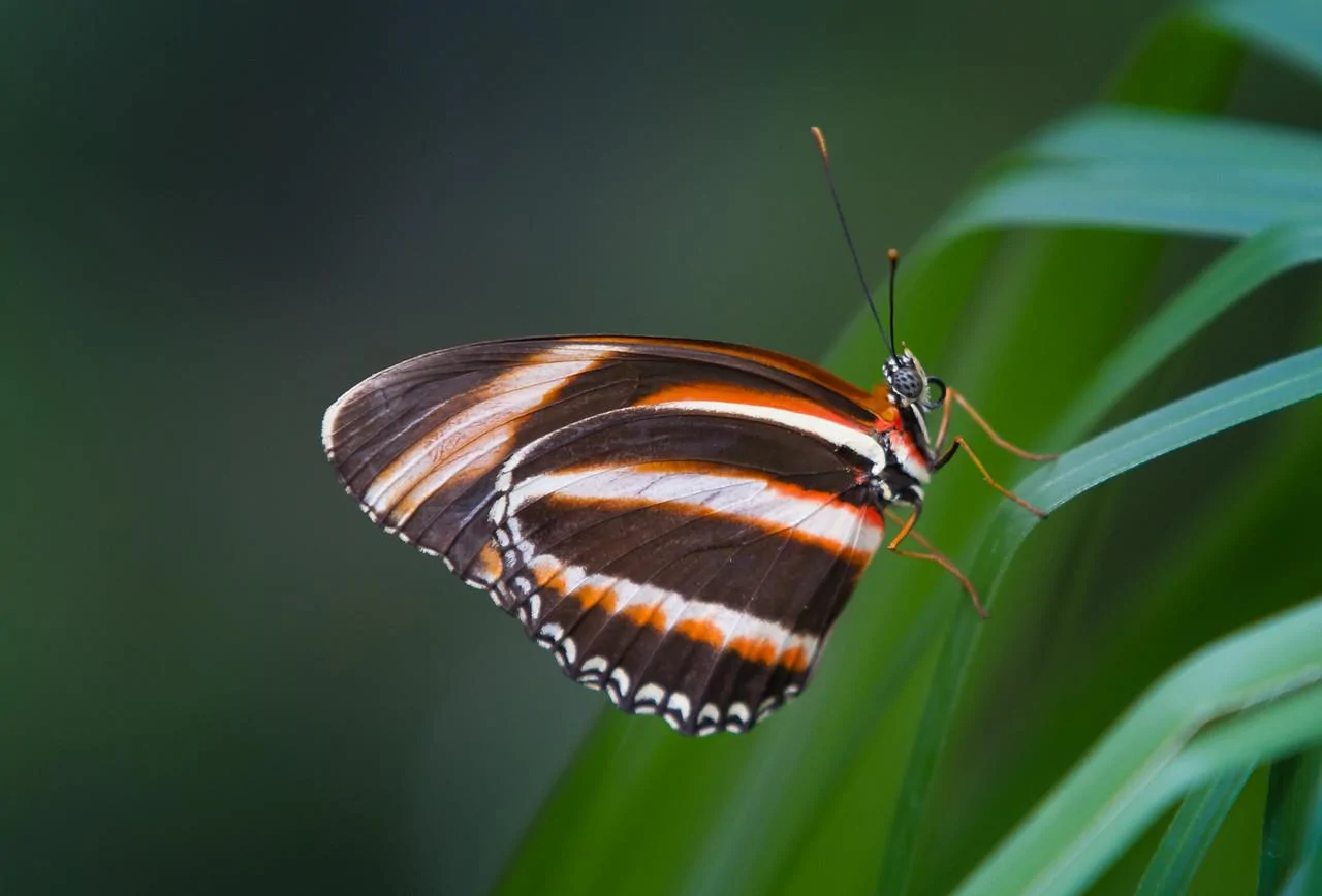 tinylife1-X2.webp