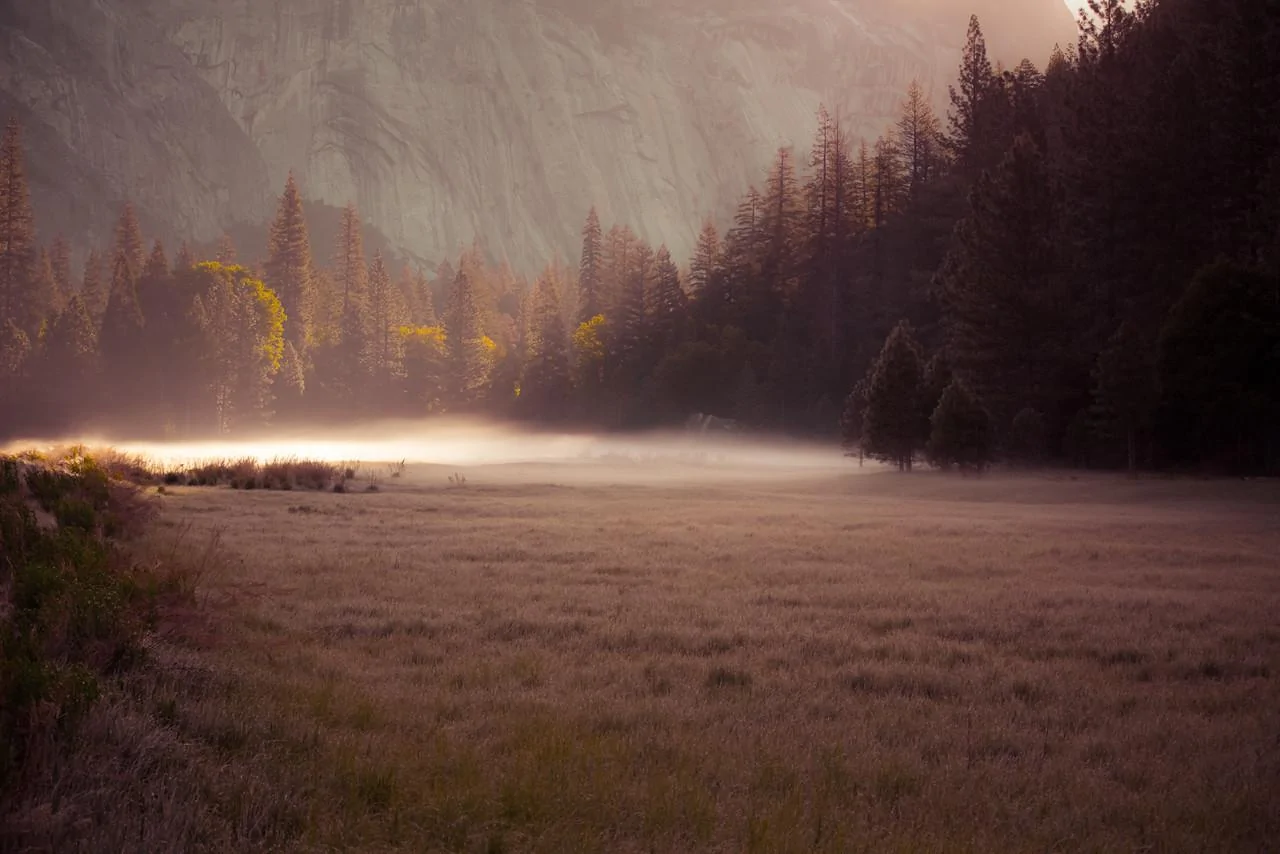landscape1-X2.webp