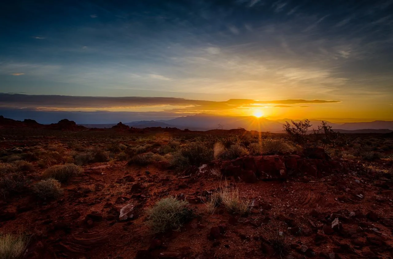 landscape2-X2.webp