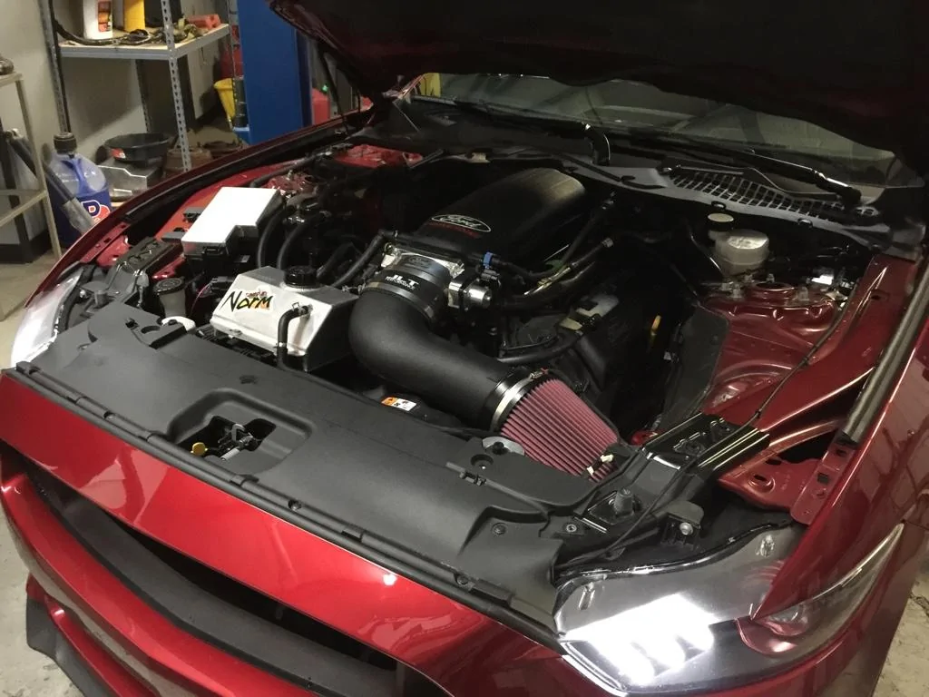 ImageUploadedByTapatalk1459554889.409164.webp